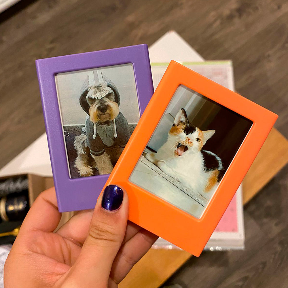 Marco imantado + foto